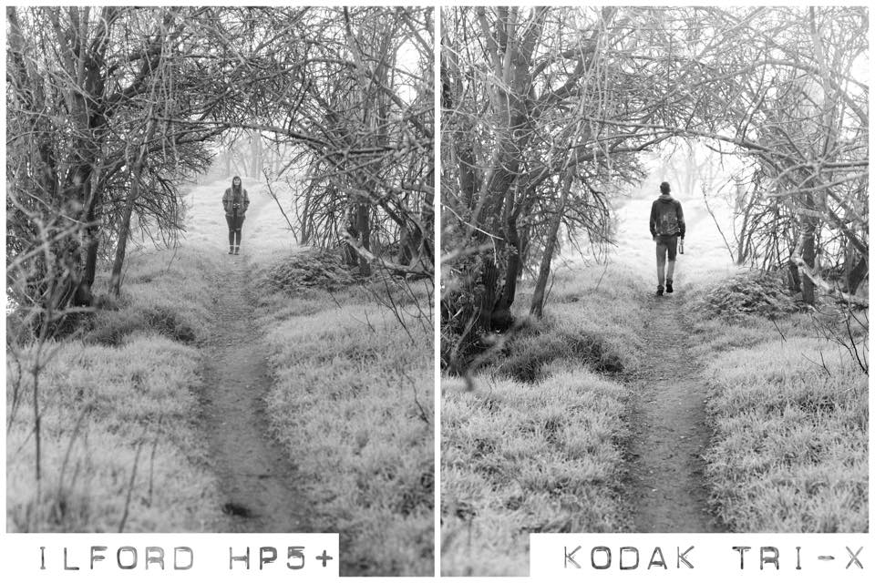 HP5 vs Tri-X